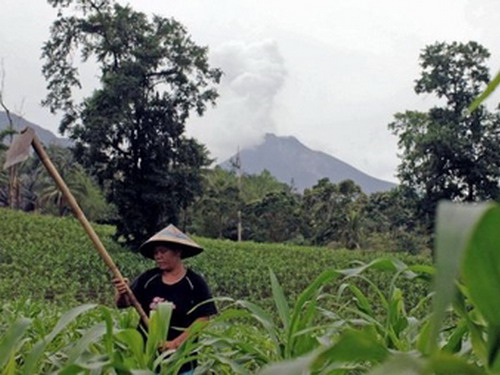 Núi lửa ở Indonesia lại phun trào dữ dội